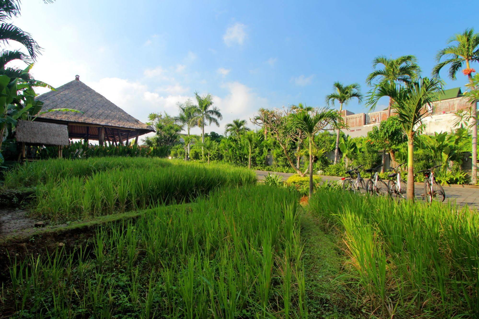 The Kirana Canggu Hotel Exteriör bild